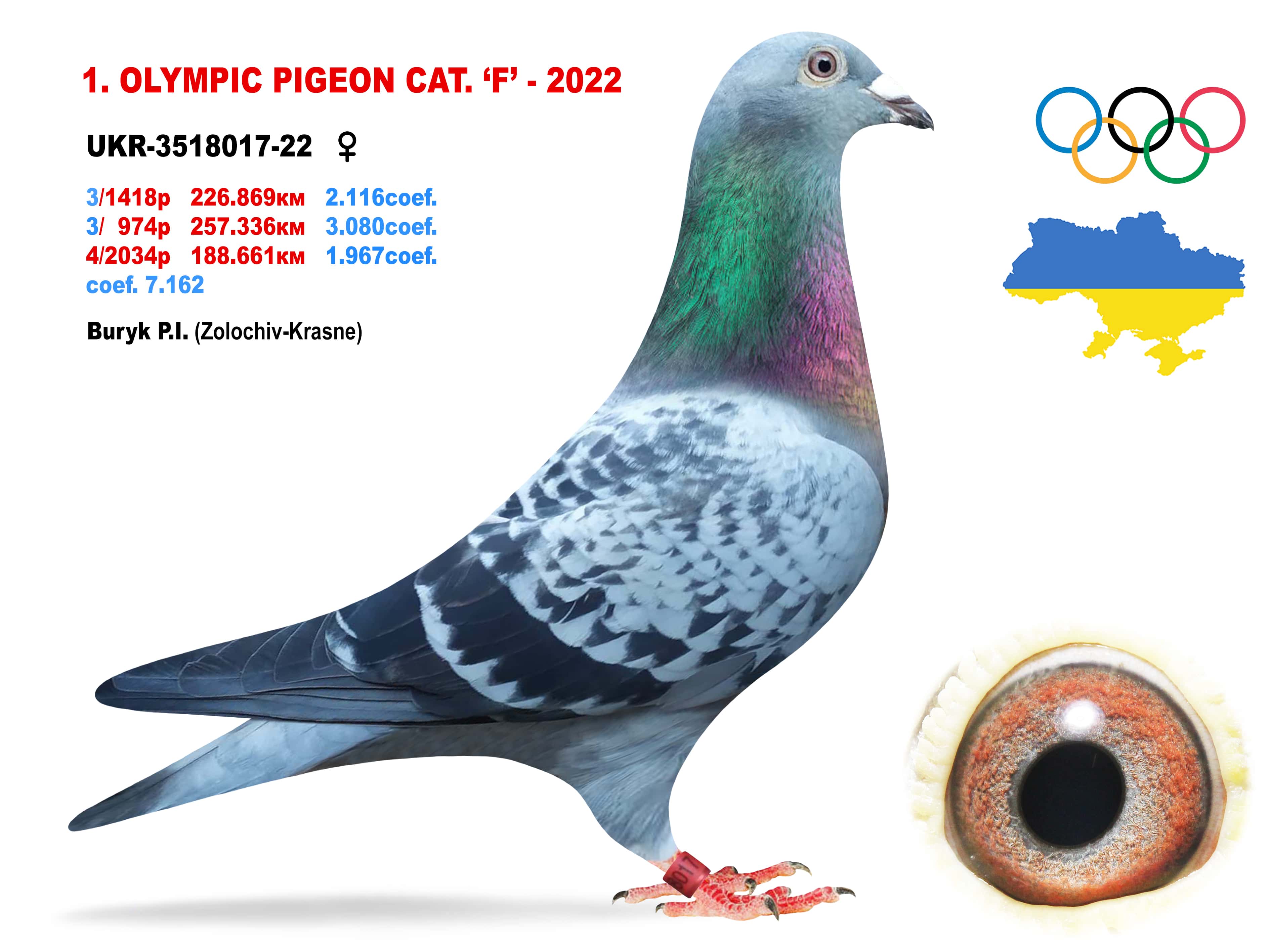 2022-F1